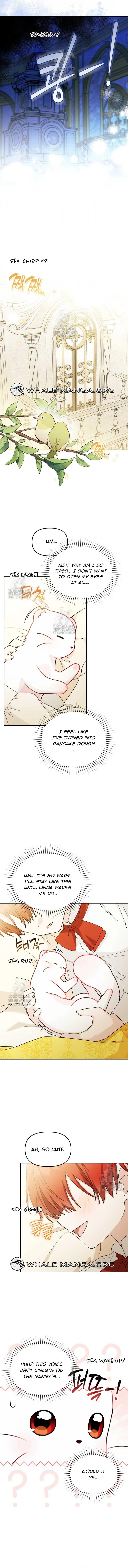 ch 23 10