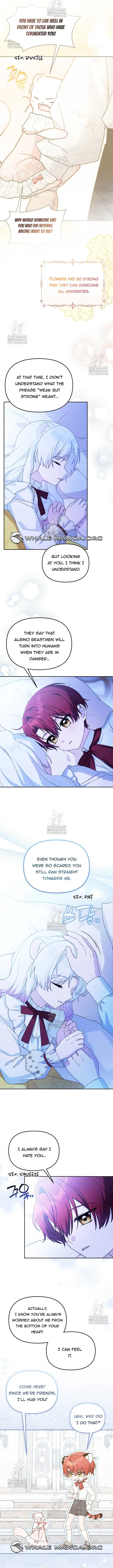 ch 23 2