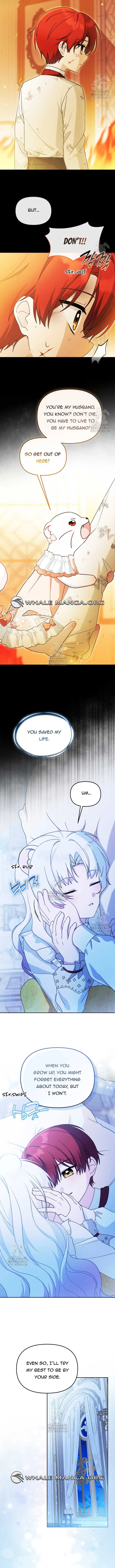 ch 23 5