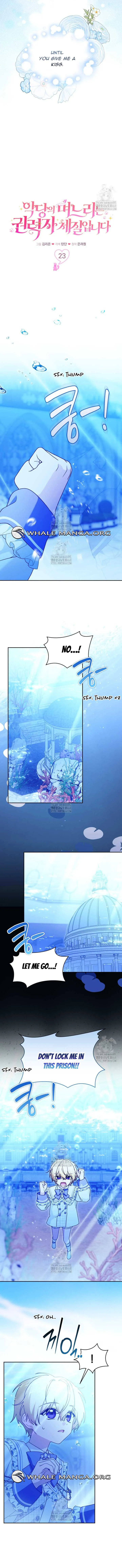 ch 23 6