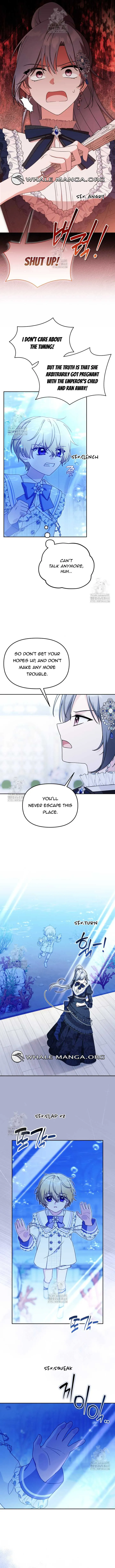 ch 23 9