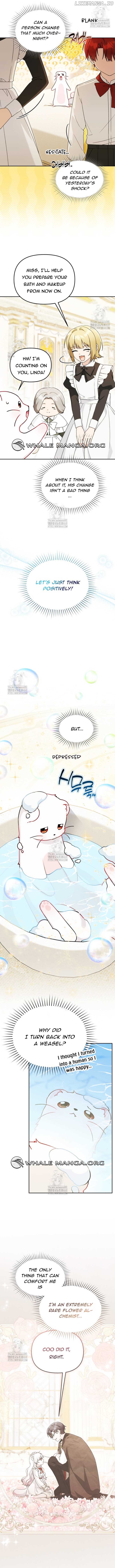 ch 24 4