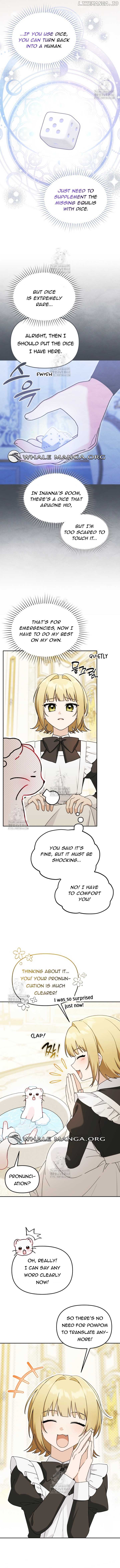 ch 24 5