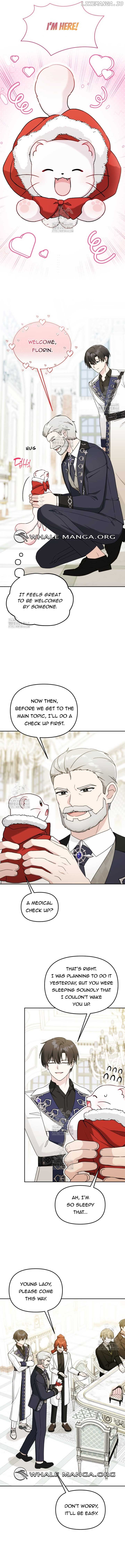 ch 24 7