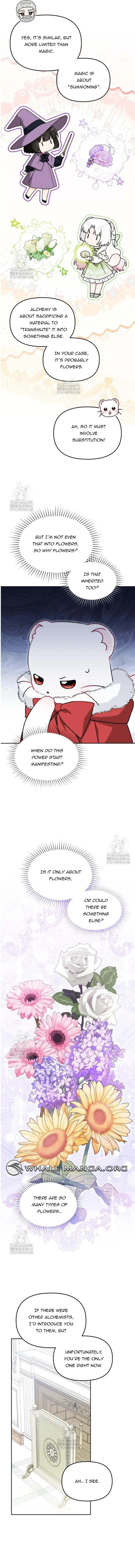 ch 25 5