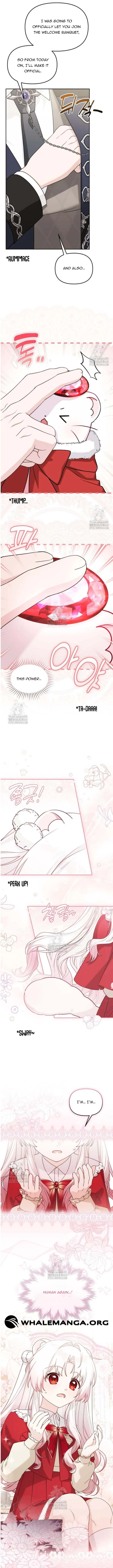 ch 25 9