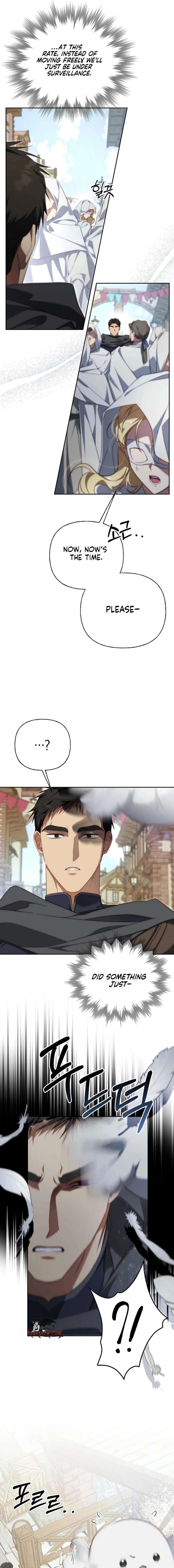 ch 44 19