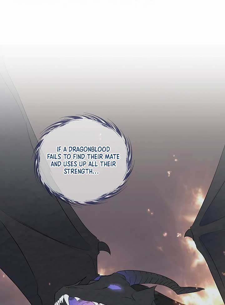 ch 10 71