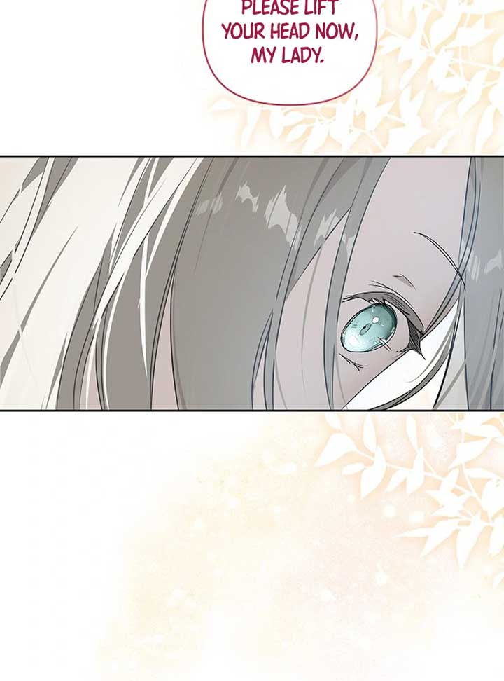ch 6 17