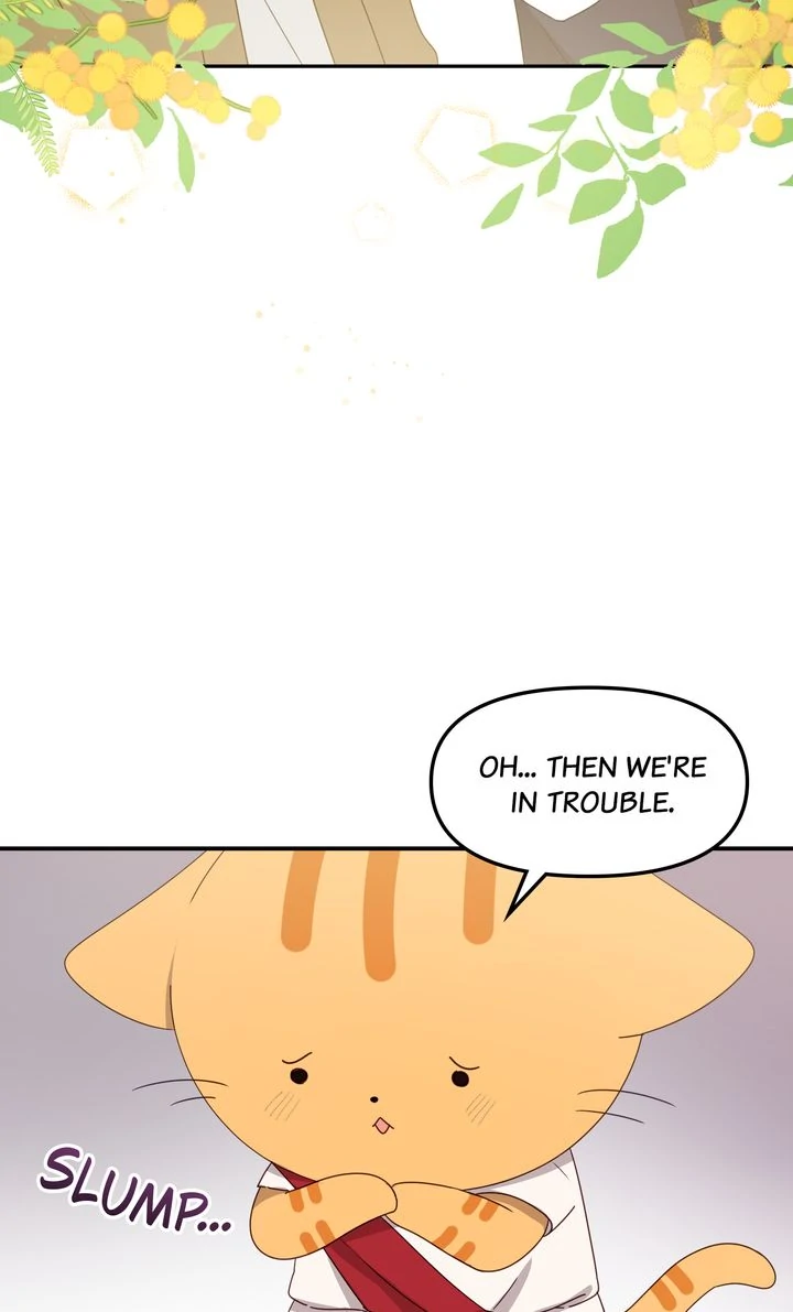 ch 35 35