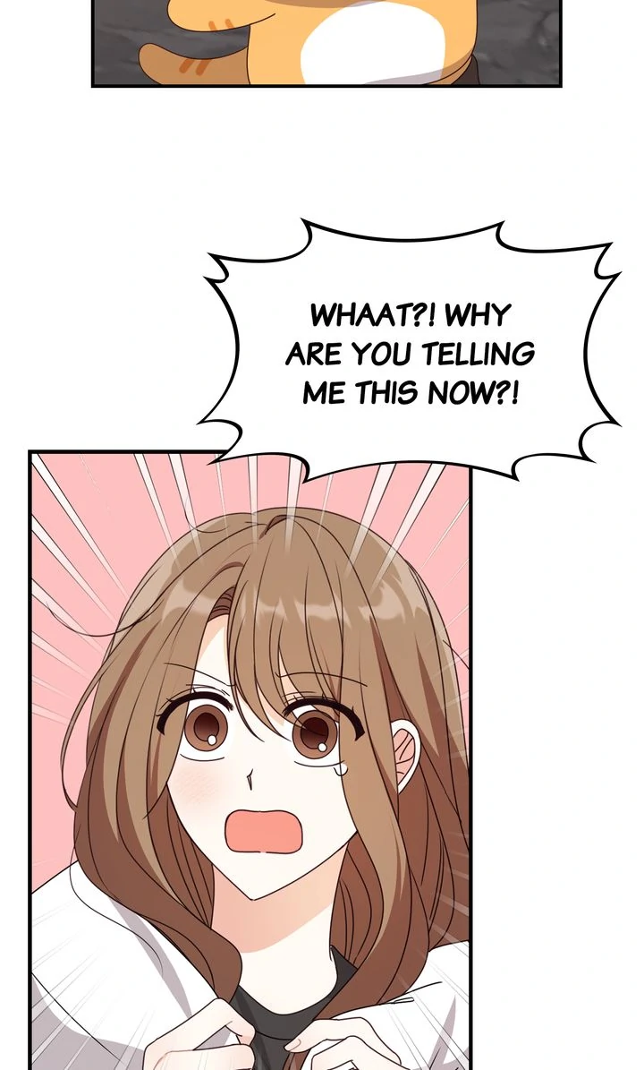 55