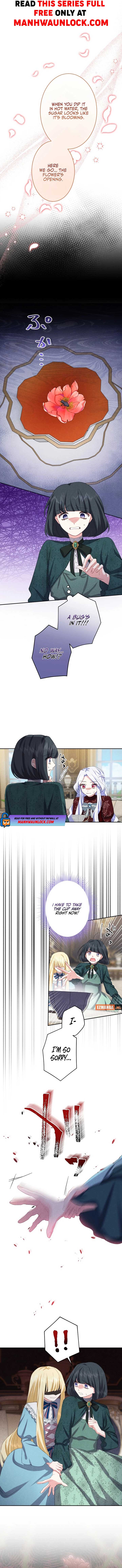 ch 11 1