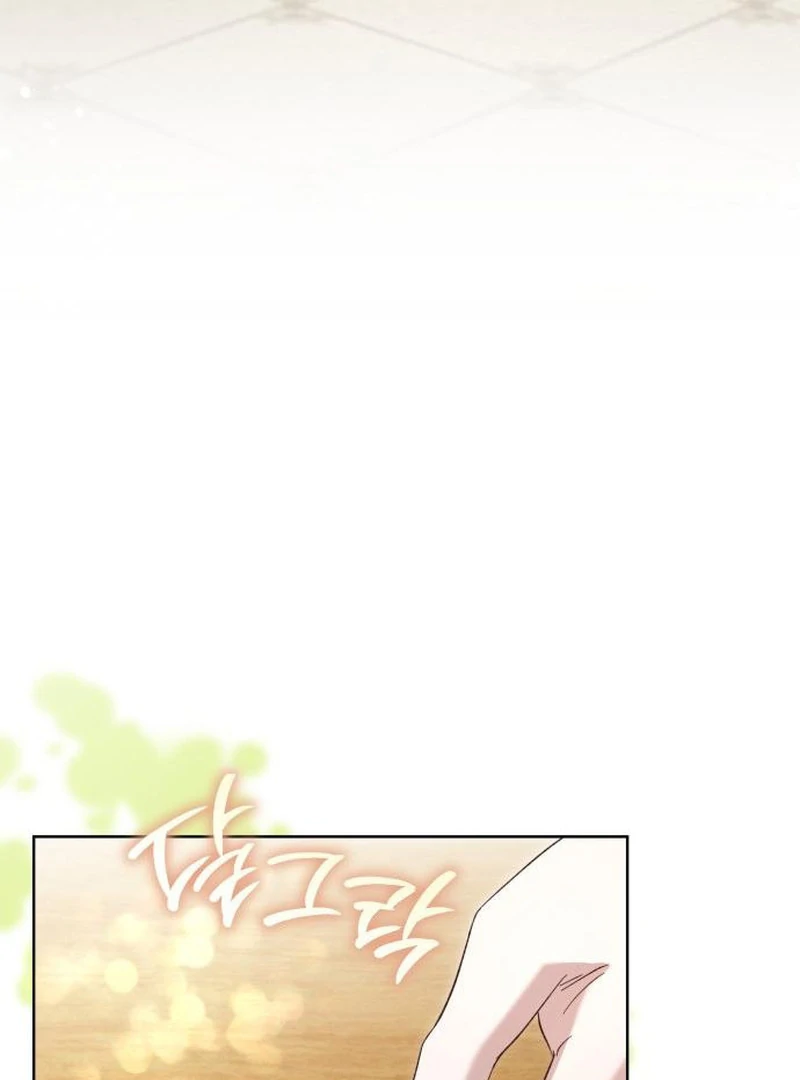 ch 11 101