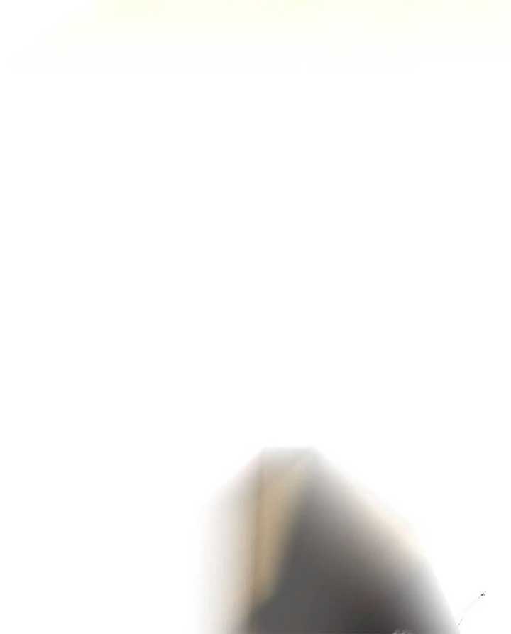 ch 16 82