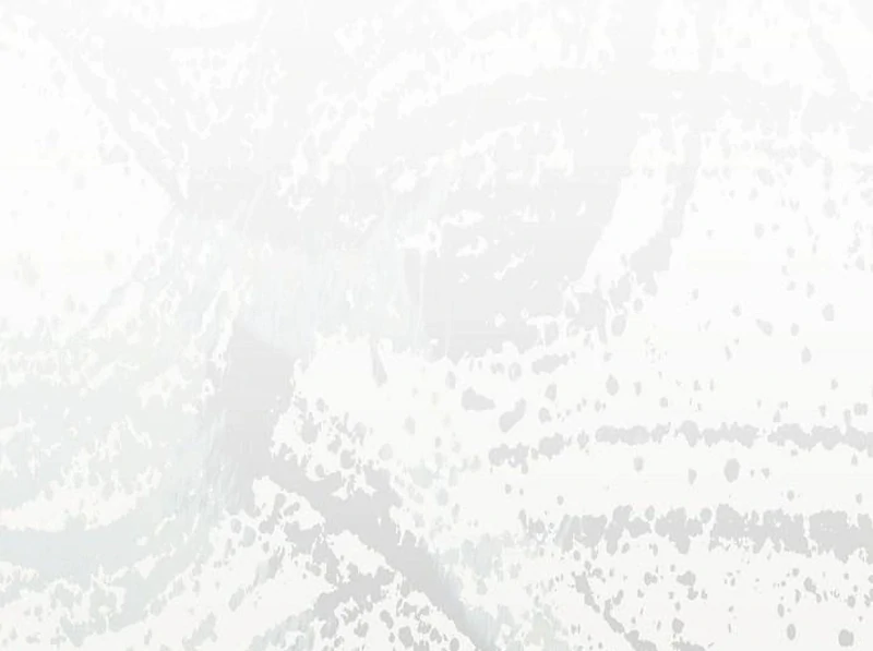 036