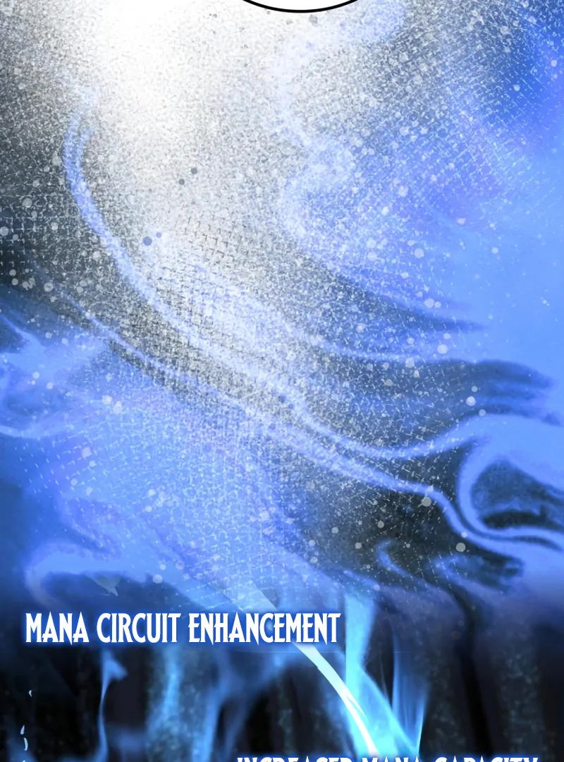 Limit-Breaking Genius Mage Chapter 43 607 132