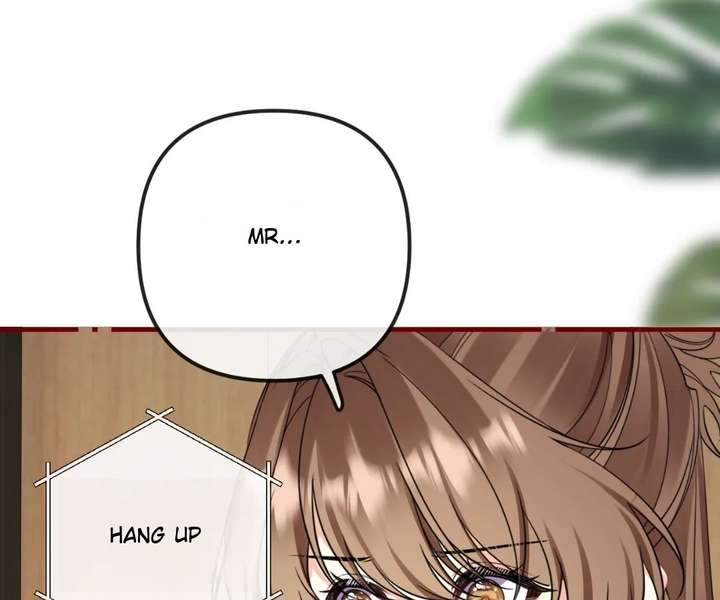 ch 41 48