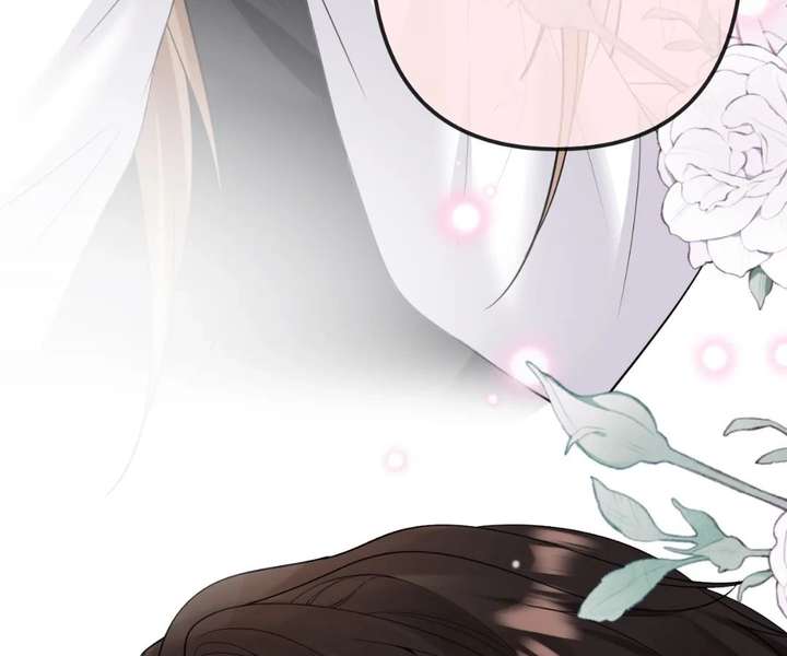 ch 42 41