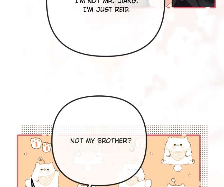 ch 43 37