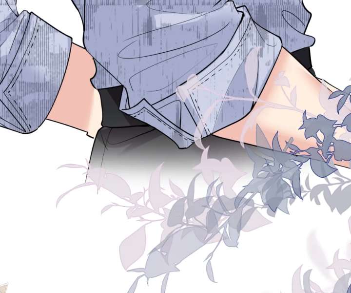 ch 44 40