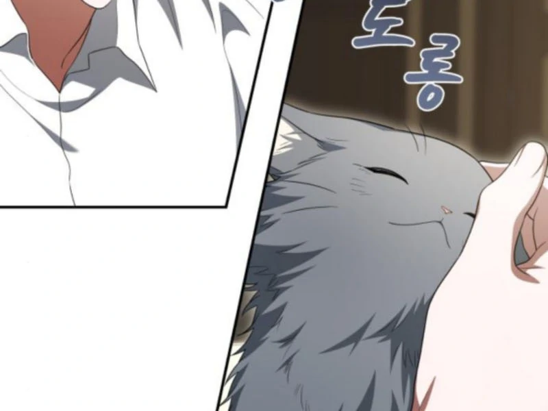 The End of a Fake Marriage Chapter 19 509 022