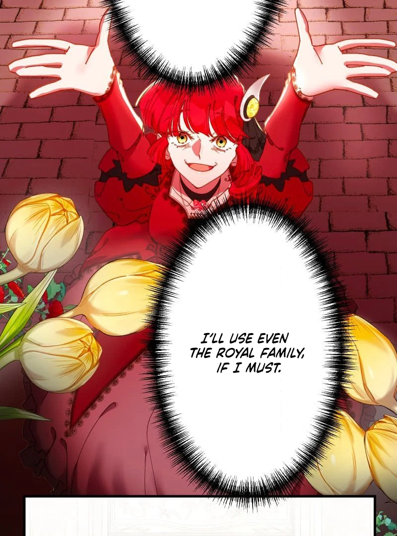 ch 11 115