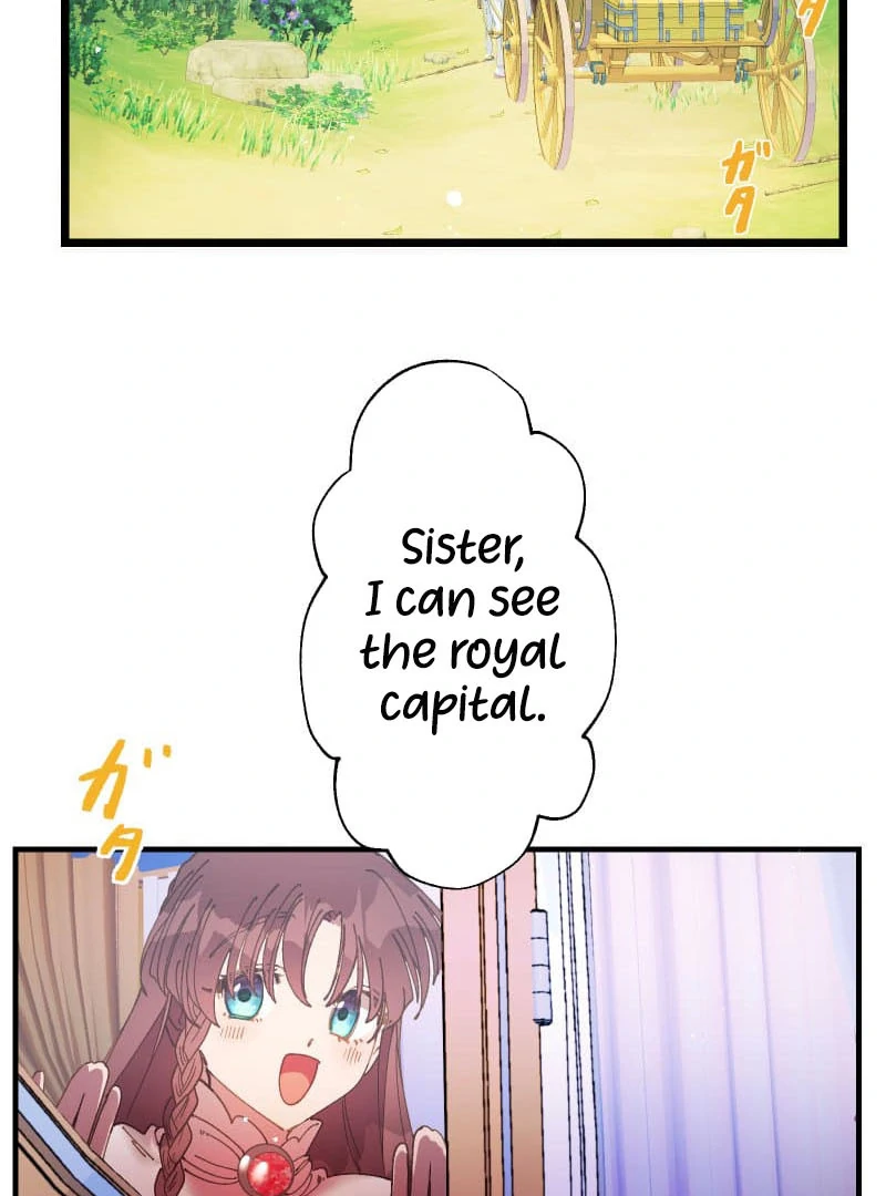 ch 17 13
