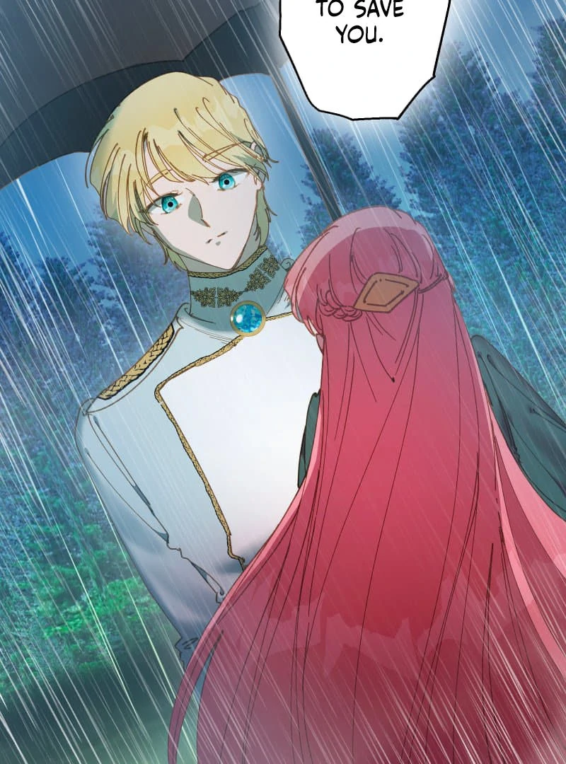 ch 19 11