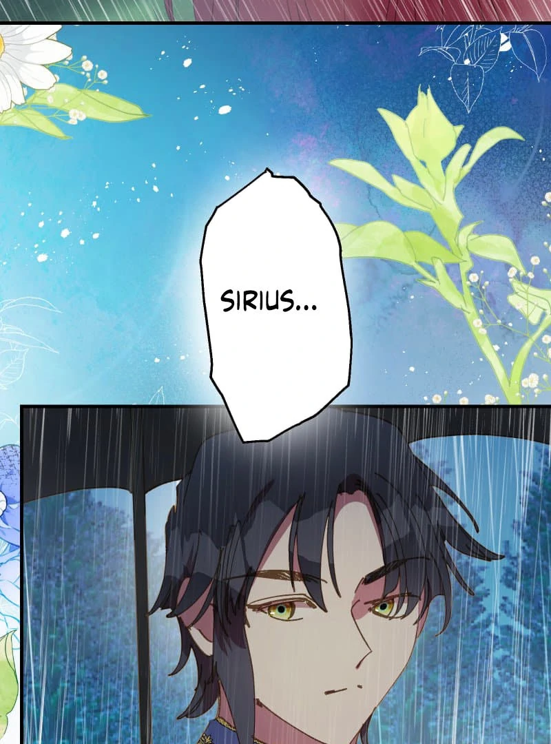 ch 19 12