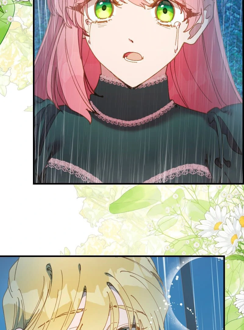 ch 19 17