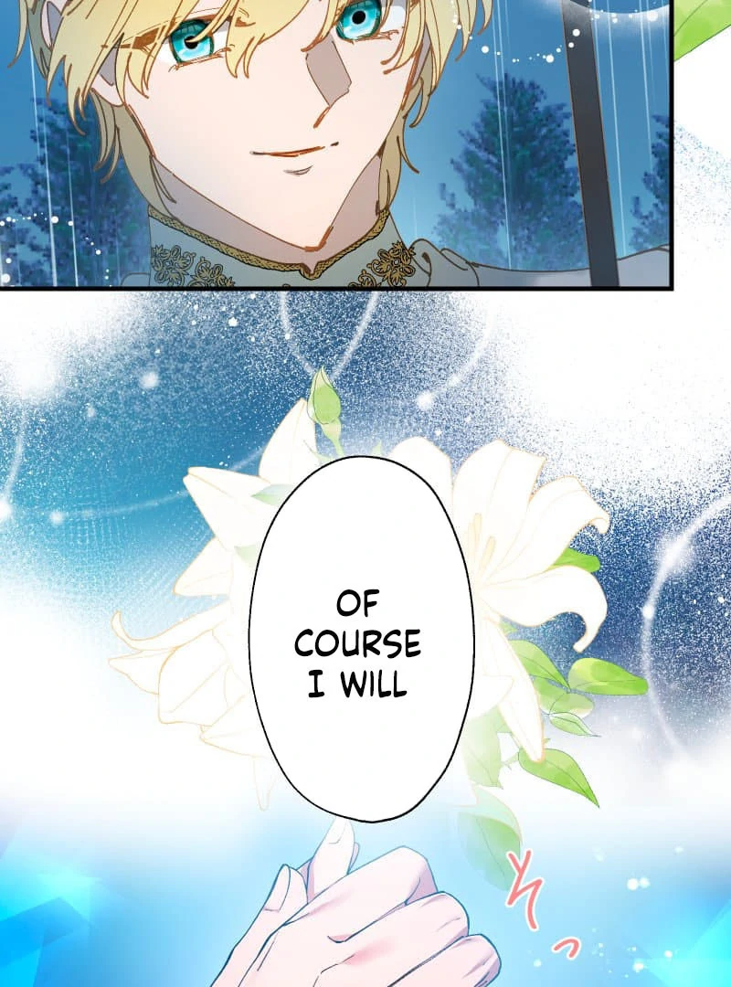 ch 19 18
