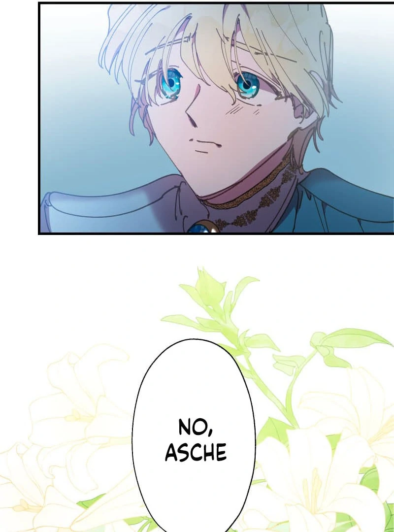 ch 19 44
