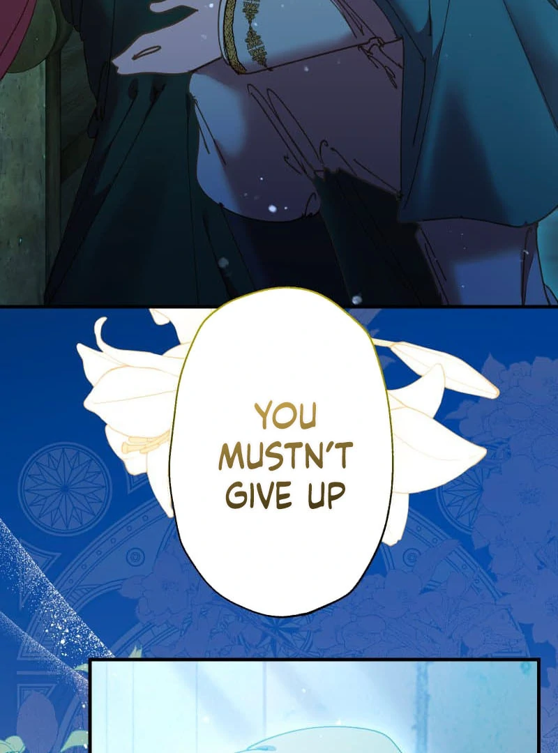 ch 19 46