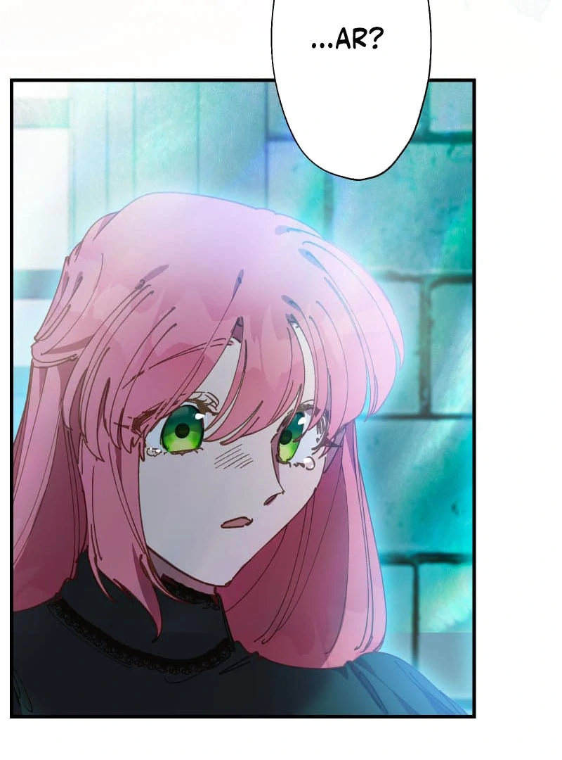 ch 19 48