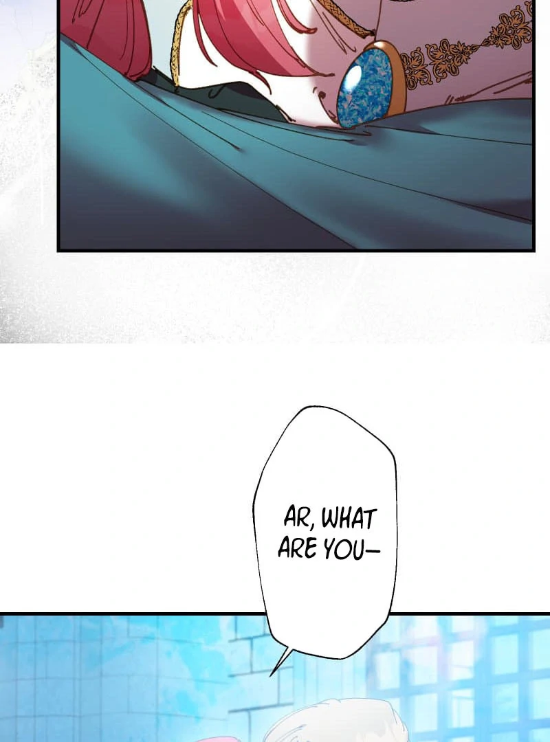 ch 19 65