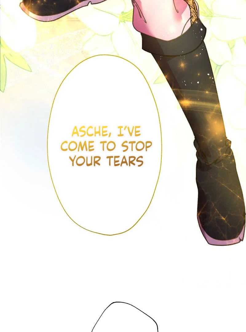 ch 20 5