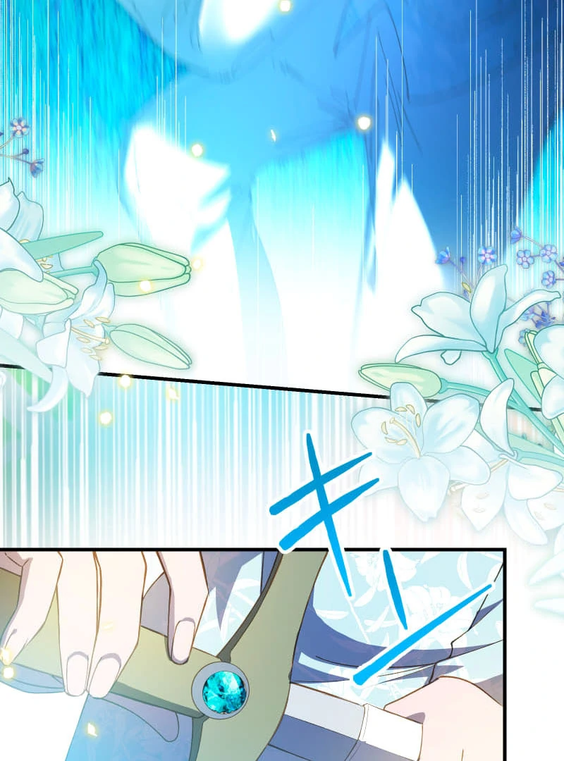 ch 24 37