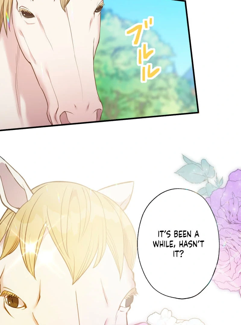 ch 25 113