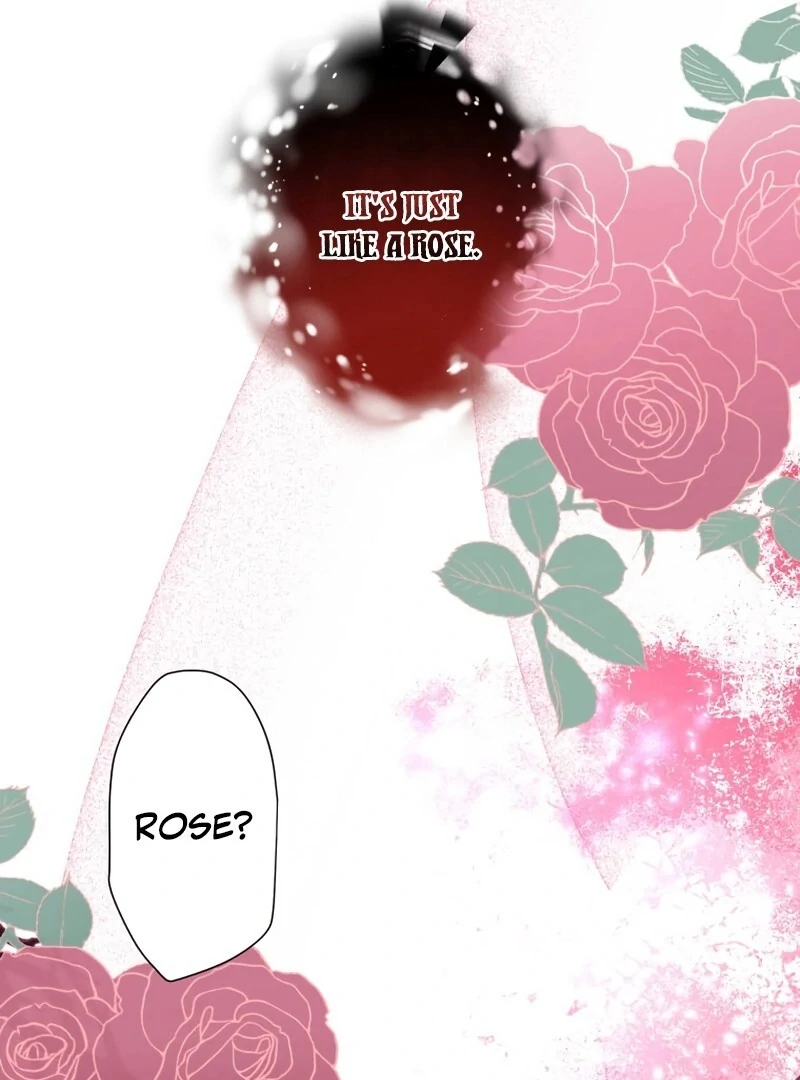 To the Saintess Who Killed Me, I’ll Turn Back Time to See You Chapter 4 565 ch 4 120