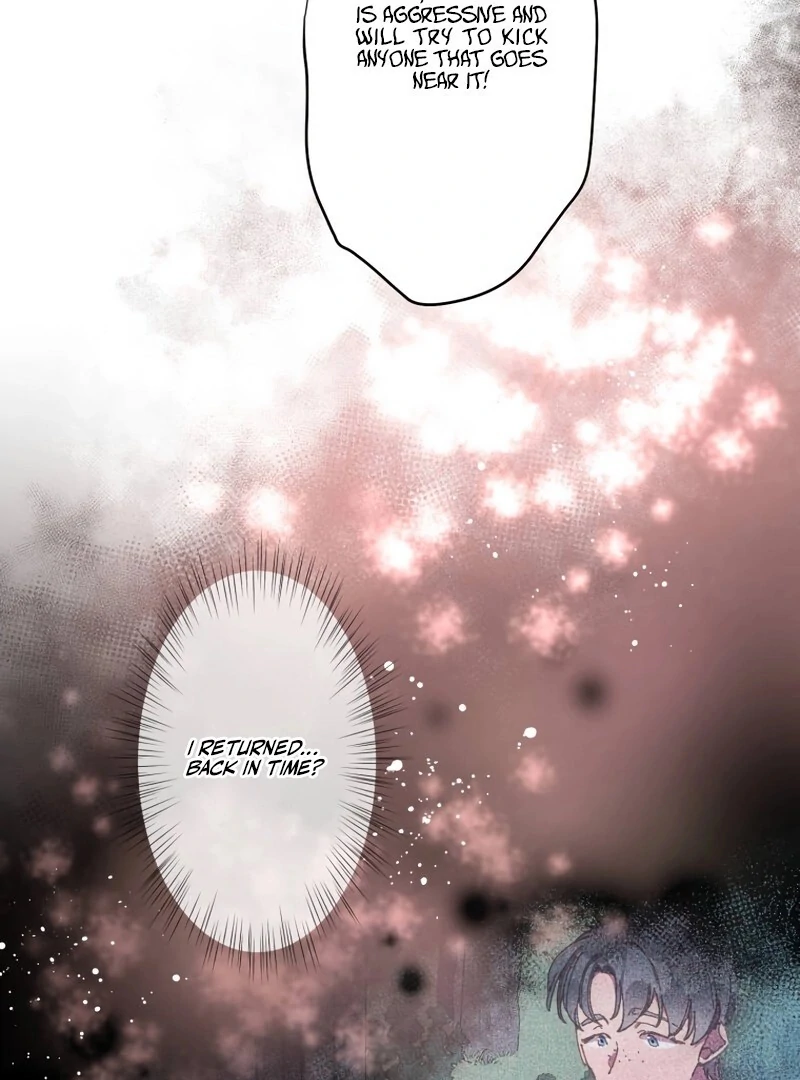 To the Saintess Who Killed Me, I’ll Turn Back Time to See You Chapter 4 542 ch 4 97