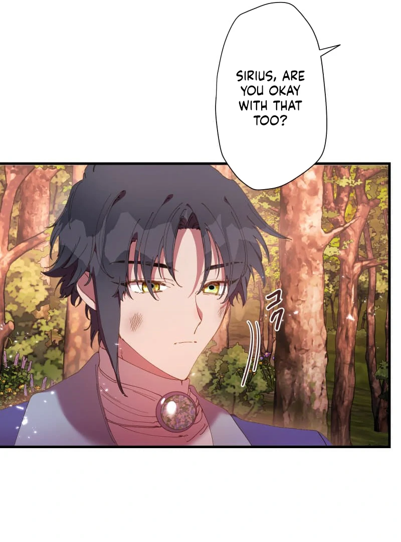 ch 8 16