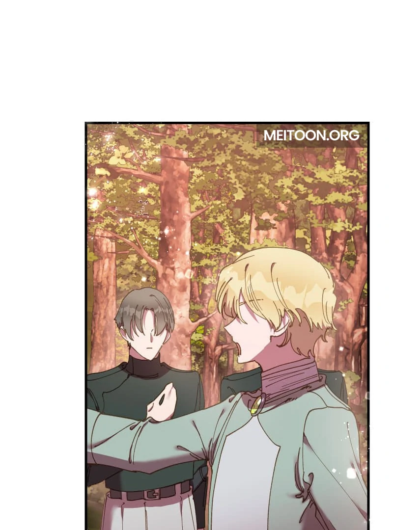 ch 8 17