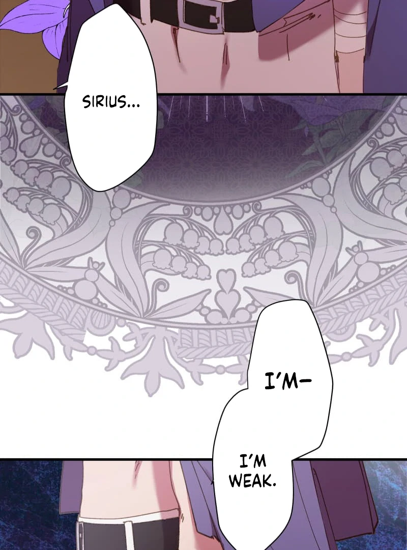 ch 8 62