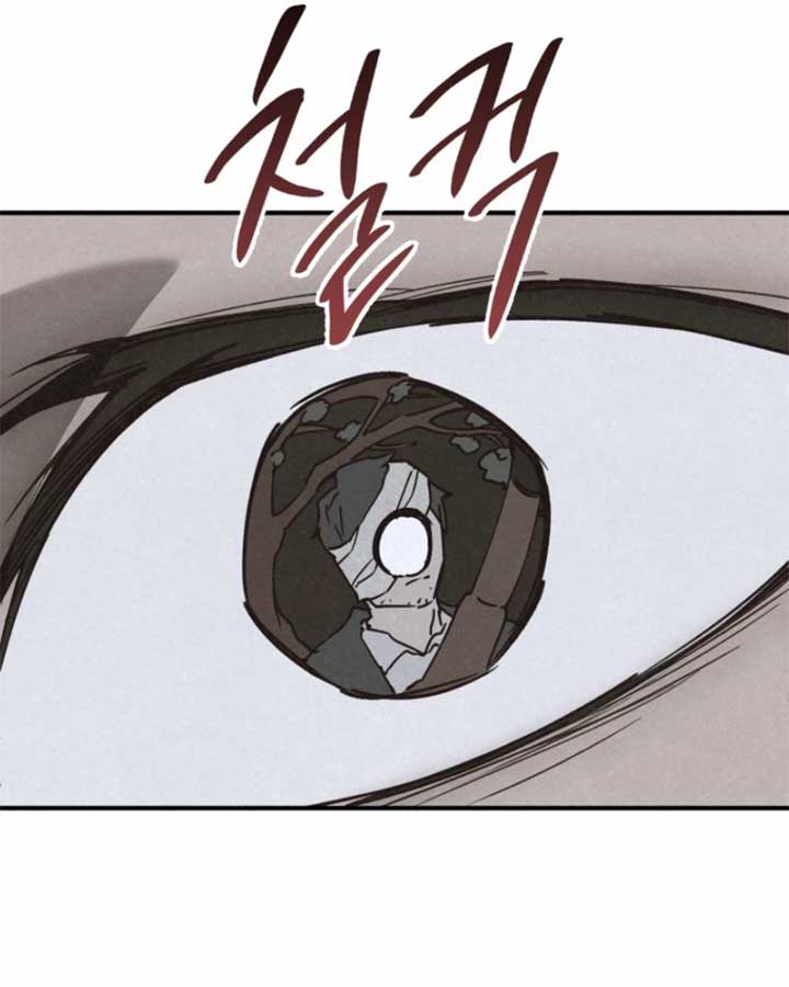 ch 17 28