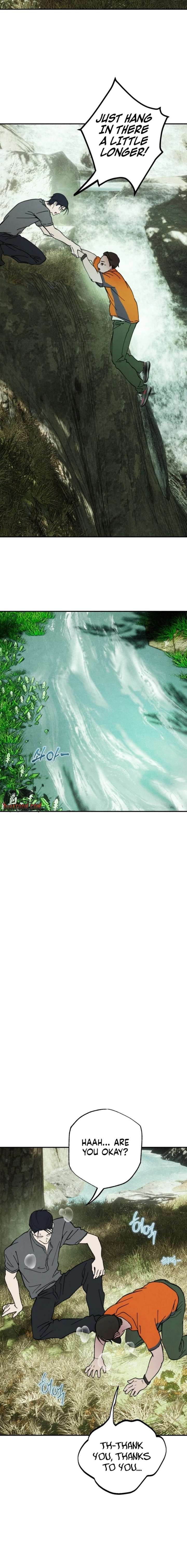 ch 51 14