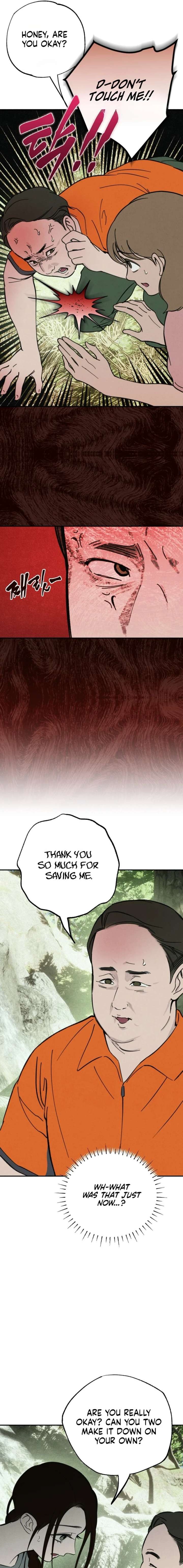 ch 51 15