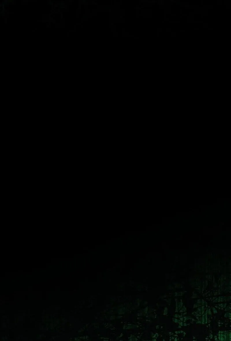 The Summer Swallowed by Darkness Chapter 65 457 294aee1430cc