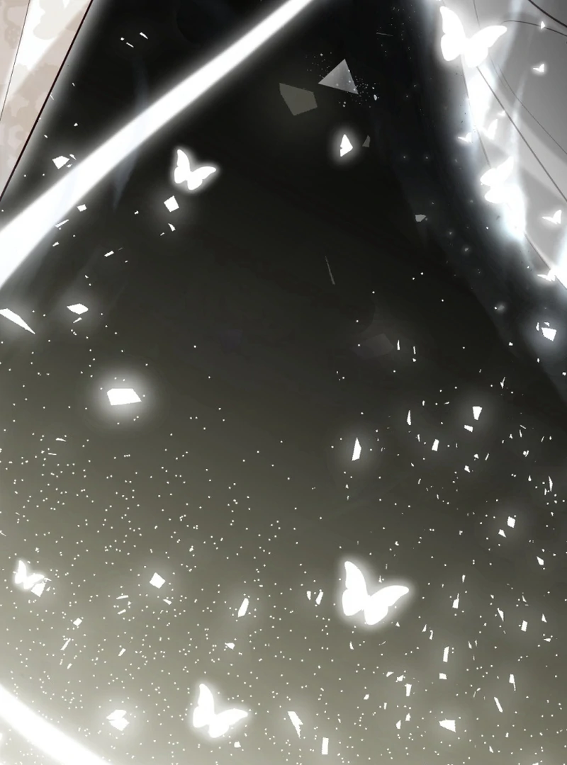 ch 11 52