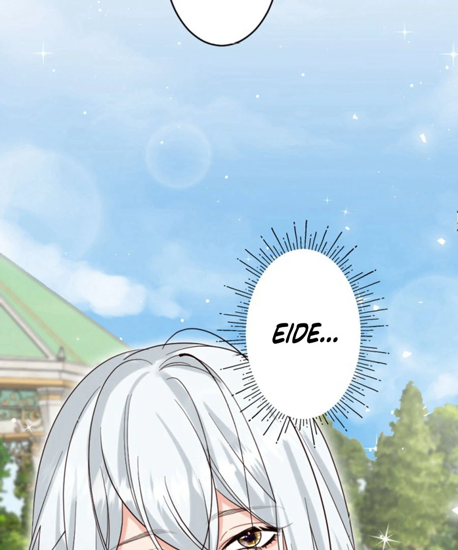 ch 17 8
