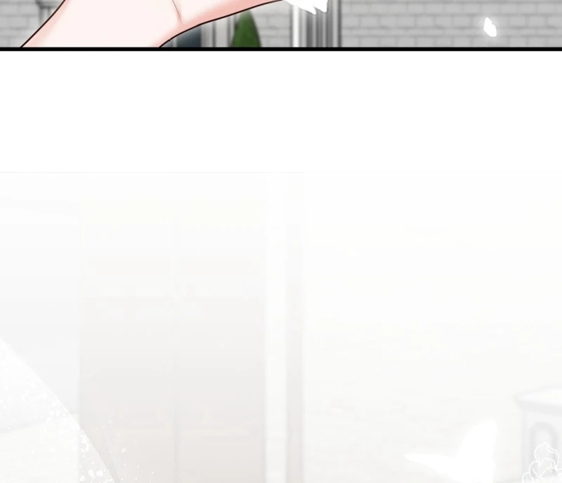 ch 37 28